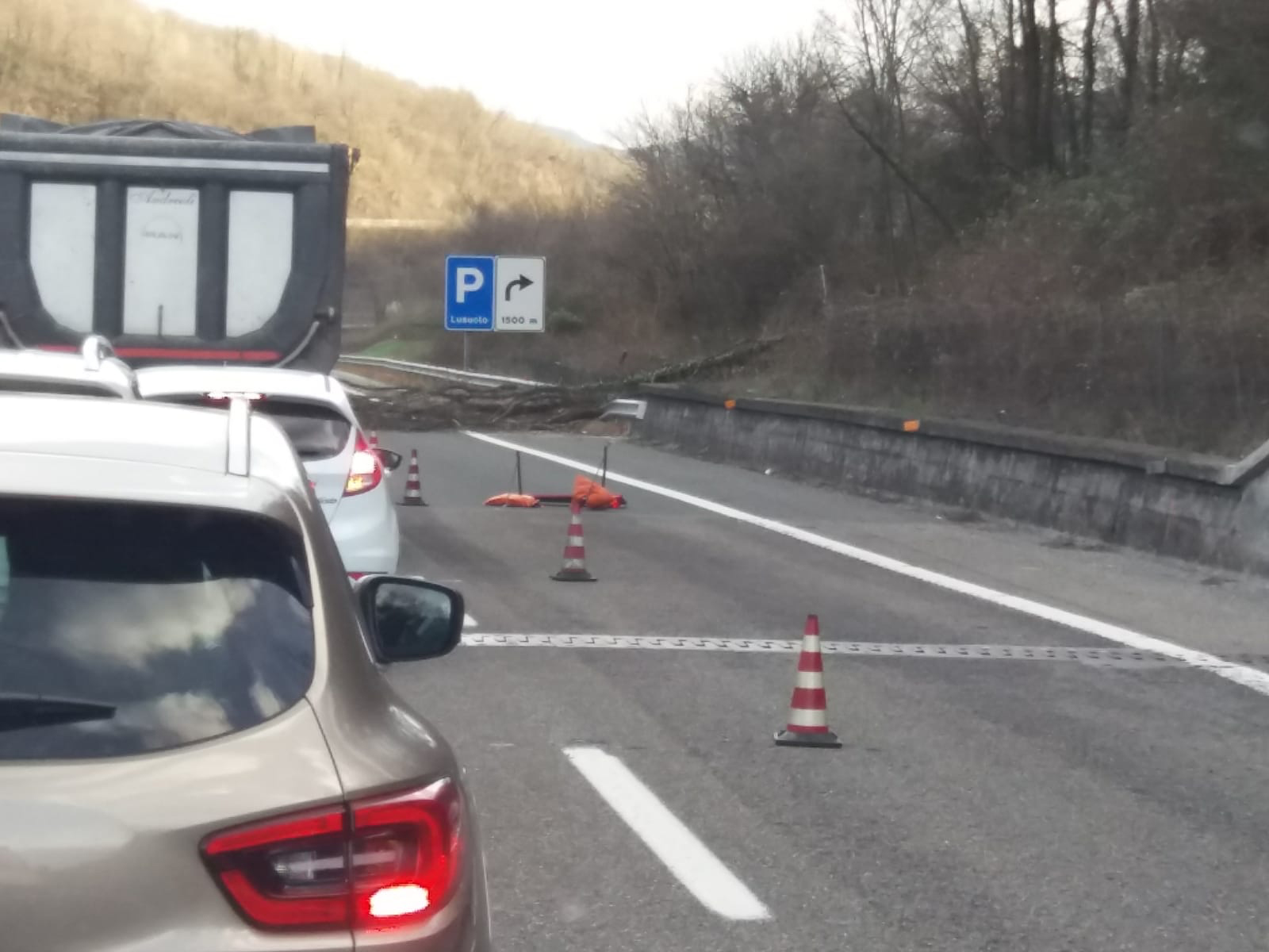 Vento: pochi danni in Lunigiana anche se si segnala la caduta di un albero in autostrada Vento: pochi danni in Lunigiana anche se si segnala la caduta di un albero in autostrada