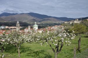 Parte del centro storico di Pontremoli visto dalla Costa di Monte Galletto con gli alberi da frutto fioriti