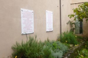 Alcune delle erbe aromatiche coltivate all'interno del chiostro di San Caprasio ad Aulla