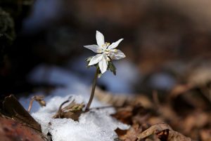 21meteo