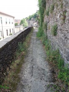 Un'immagine della condizione in cui versa la stradina che corre a monte della strada principale (ex statale) in località Terrarossa