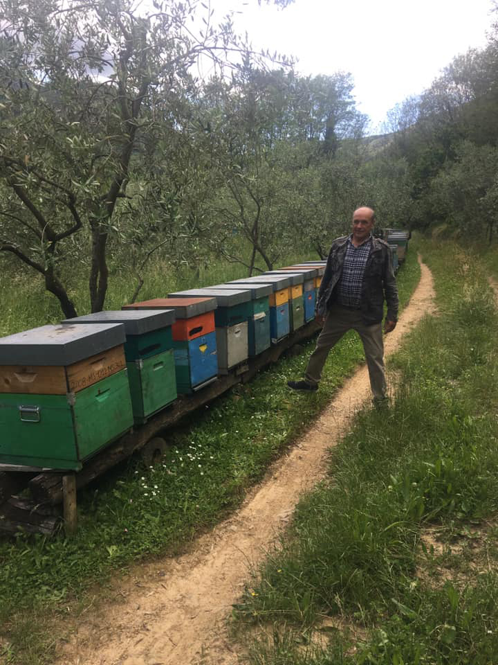 I produttori di miele chiedono un incontro con la Regione per affrontare i problemi del settore I produttori di miele chiedono un incontro con la Regione per affrontare i problemi del settore
