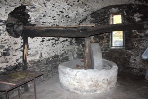Un antico frantoio della zona