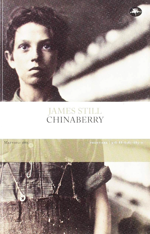 In “Chinaberry” la vita complessa negli USA di James Still In “Chinaberry” la vita complessa negli USA di James Still