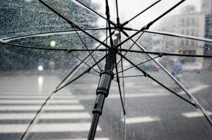 41meteo
