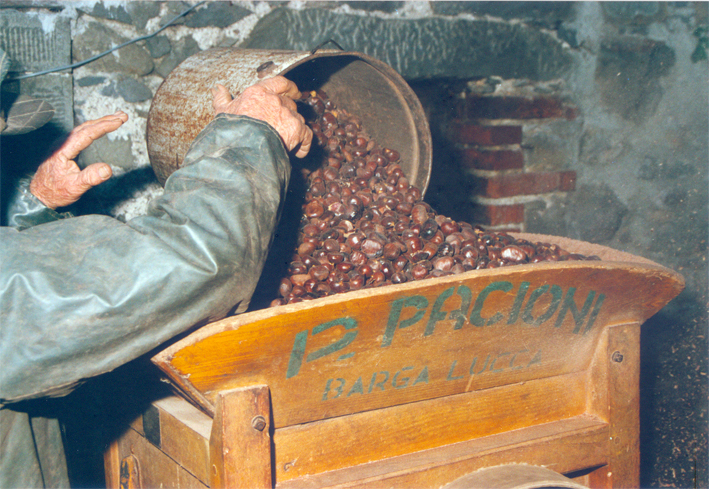 È l’ora della farina dolce È l’ora della farina dolce