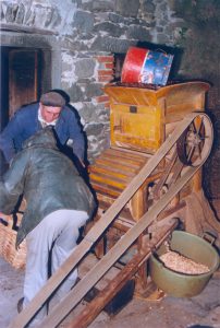 45battitura_castagne2