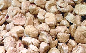 45castagne_secche
