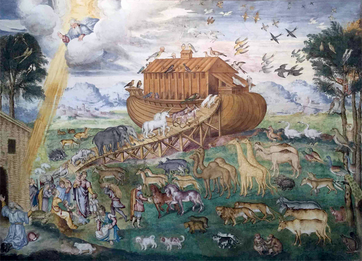 Noè, la vita e l’arte della cura Noè, la vita e l’arte della cura