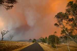 L'apocalittico scenario dell'incendio nel Nuovo Galles del Sud. (Foto SAEED KHAN / AFP)