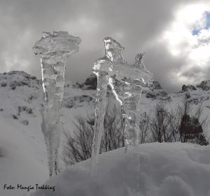 Una scultura di ghiaccio