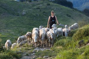 Una giovane allevatrice zerasca conduce il suo gregge al pascolo
