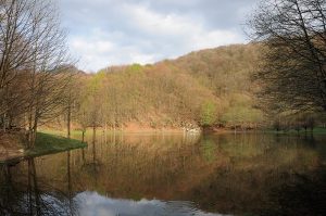 Il Lago Verde