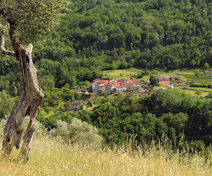 San Cristoforo di Gordana accolse un futuro capo dello Stato in clandestinità San Cristoforo di Gordana accolse un futuro capo dello Stato in clandestinità