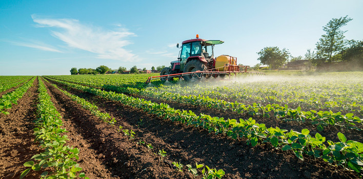 Sostegni all’agricoltura, 245 milioni per il 2024 Sostegni all’agricoltura, 245 milioni per il 2024
