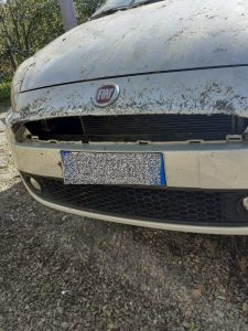 Automobile danneggiata dai cinghiali a Vignola