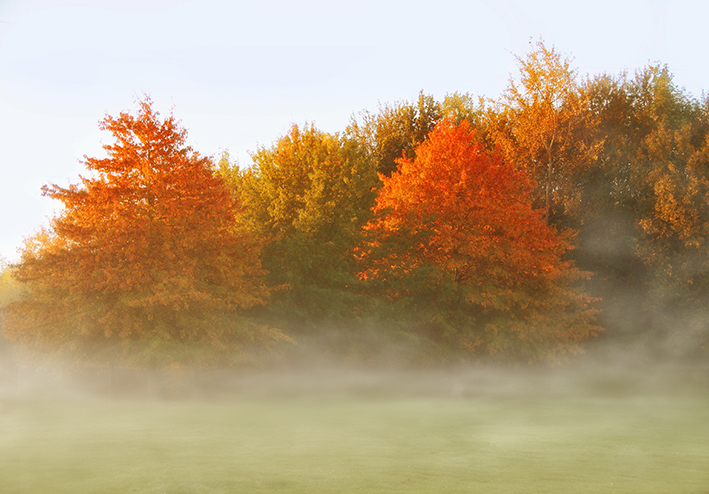 Di nuovo inerte il meteo di novembre Di nuovo inerte il meteo di novembre