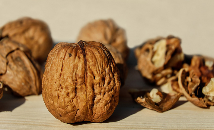 Quando bacchiare le noci era una festa Quando bacchiare le noci era una festa