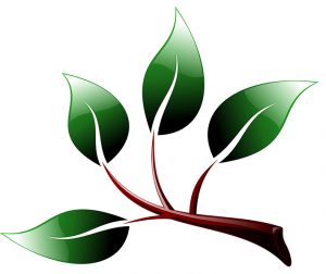46ecodesign