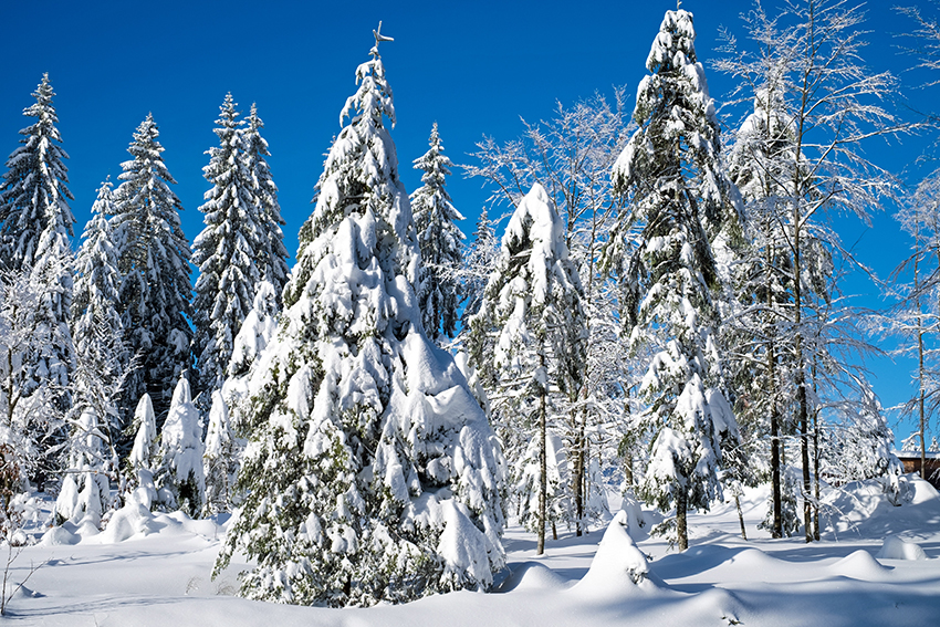 Una decade di dicembre esuberante, poi la quiete Una decade di dicembre esuberante, poi la quiete