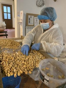 Un momento dell'essicazione delle castagne