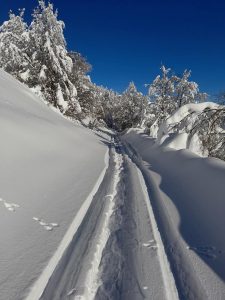 La strada per Monte Giogo bloccata dalla neve