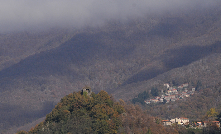 Grondola: un castello da salvare! Grondola: un castello da salvare!