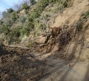 Una frana su di una strada Provinciale