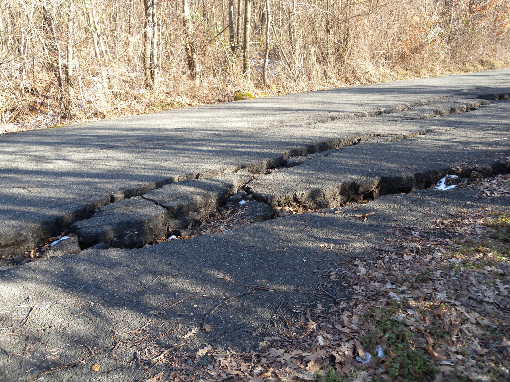 Pontremoli: la minoranza chiede maggiori attenzioni per le strade comunali Pontremoli: la minoranza chiede maggiori attenzioni per le strade comunali
