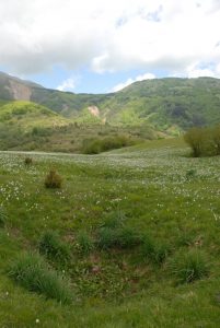 I Prati di Camporaghena