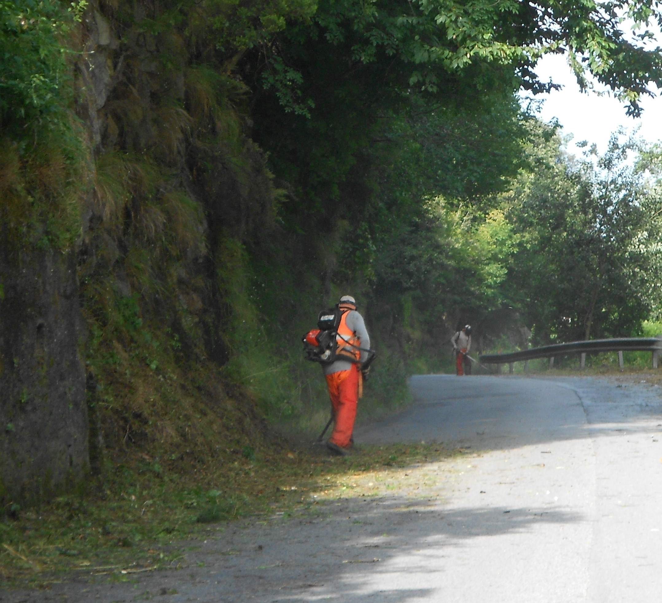 Strade Provinciali non solo frane ma anche l’erba alta Strade Provinciali non solo frane ma anche l’erba alta