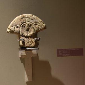 Stele Caprio
