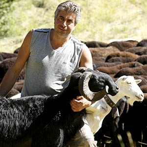 Giancarlo Boschetti con il suo gregge