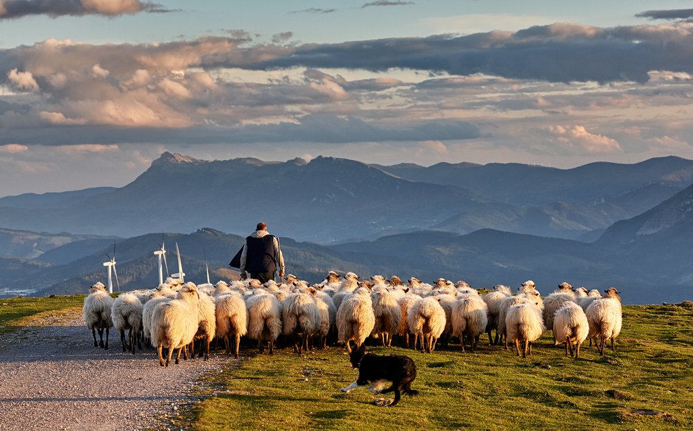 La transumanza in Lunigiana tra tradizione e novità La transumanza in Lunigiana tra tradizione e novità