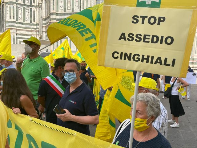 Cresce in Lunigiana l’allarme per la presenza dei cinghiali