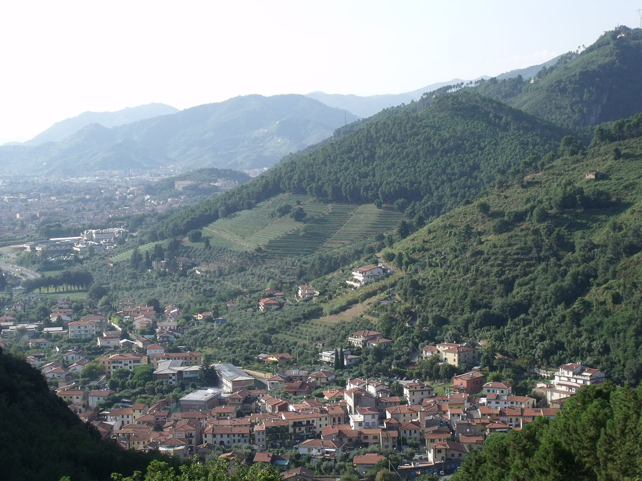 A Montignoso per la successione a Lorenzetti duello tra Alberto Nardi Perna e Pier Giuseppe Cagetti