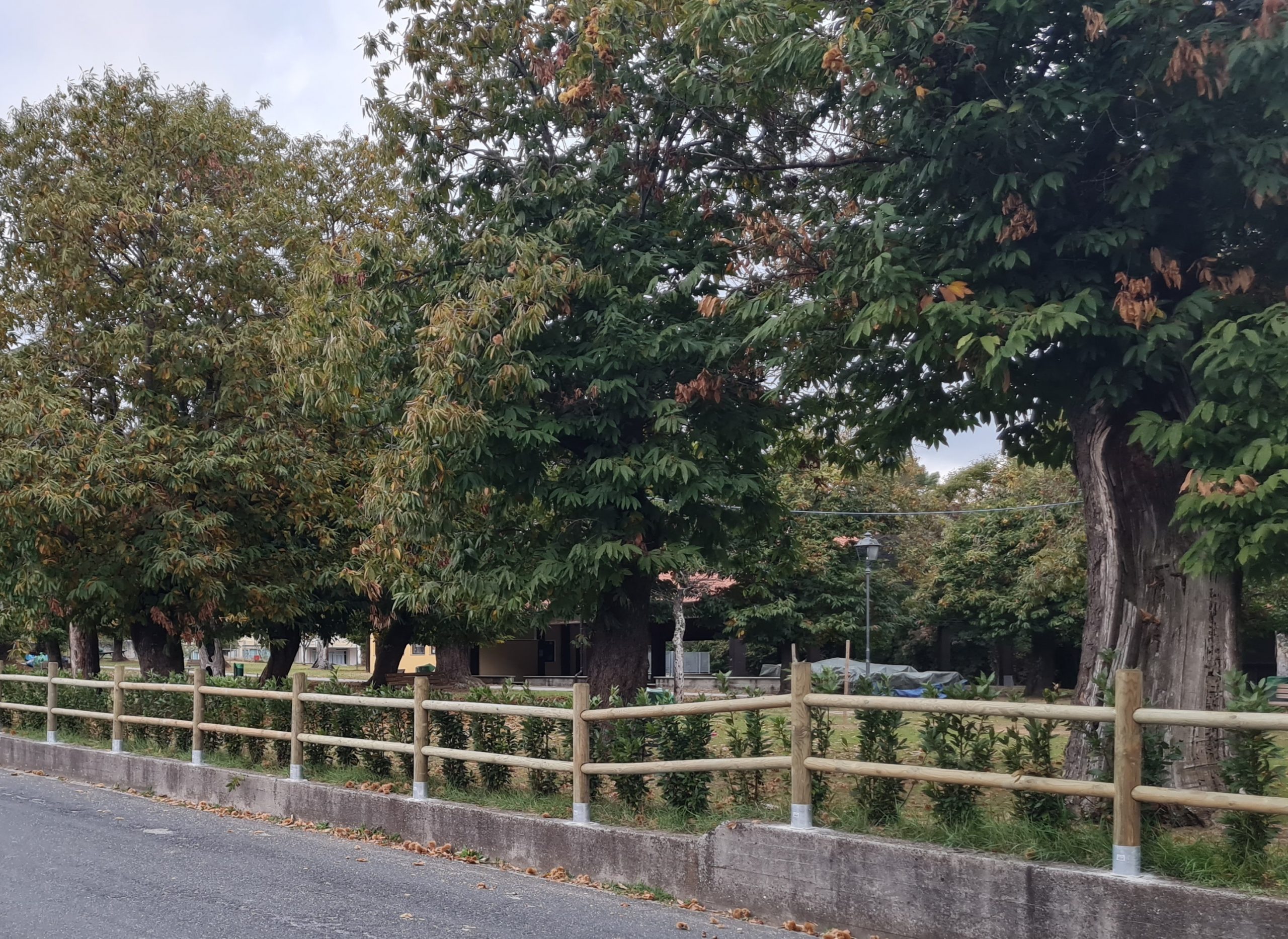 Riqualificazione per il Parco Fiera di Barbarasco