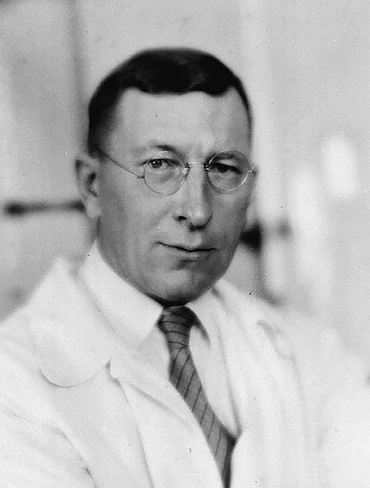 L’ insulina: quell’ormone da Premio Nobel L’ insulina: quell’ormone da Premio Nobel