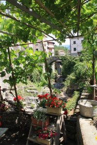 Il giardino Albericci