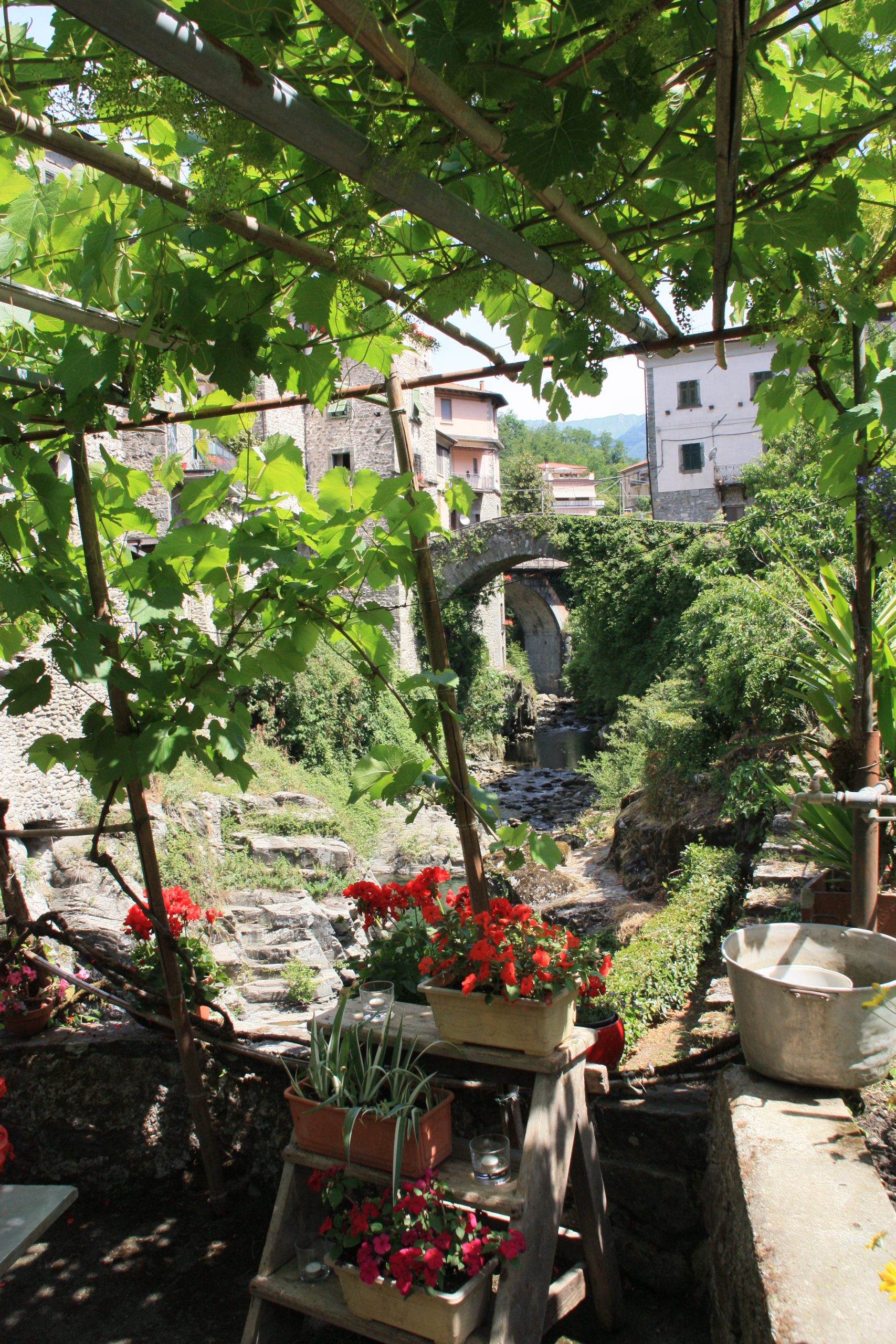 I vincitori del concorso “Bagnone Fiorito”