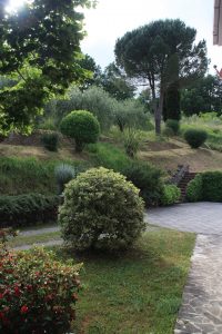 Il giardino di Maria Teresa Guastalli di Gragnana