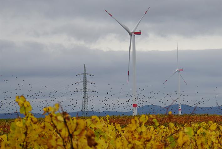 L’autunno presenta già conti pesanti L’autunno presenta già conti pesanti