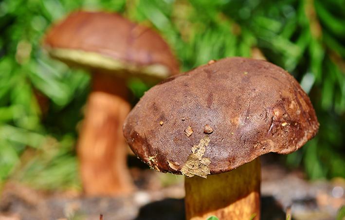 Equinozio d’autunno preceduto dal sole e seguito da acqua Equinozio d’autunno preceduto dal sole e seguito da acqua