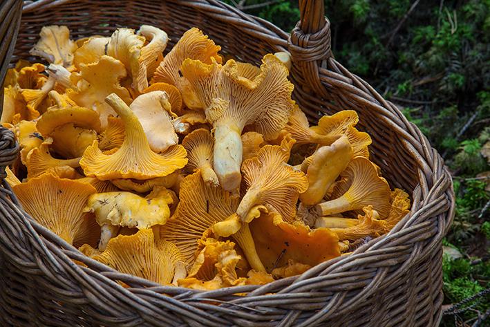 Piogge di ottobre: “distrazione o dirottamento”?
