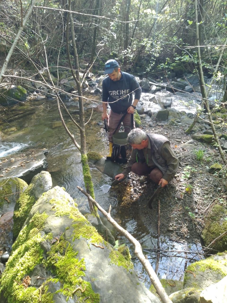 35.000 avannotti immessi nei torrenti di Mulazzo