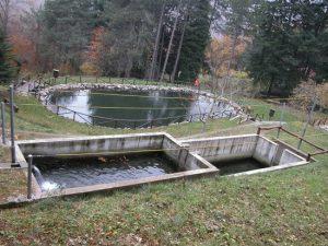 Il bioparco di Frignoli con le vasche per l'allevamento del gambero di fiume.