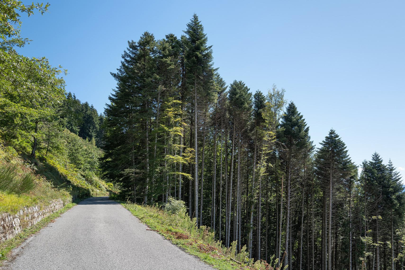 Comano: affidati finanziamenti per il secondo lotto della SP 75