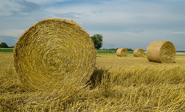 Luglio si arroventa dopo un avvio tranquillo