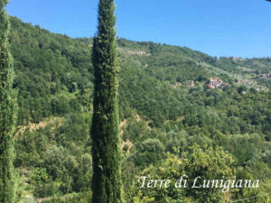 Panorama di Folegnano (Foto Terre di Lunigiana)