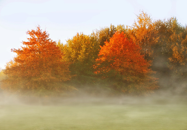 Una prima decade di ottobre prettamente estiva Una prima decade di ottobre prettamente estiva
